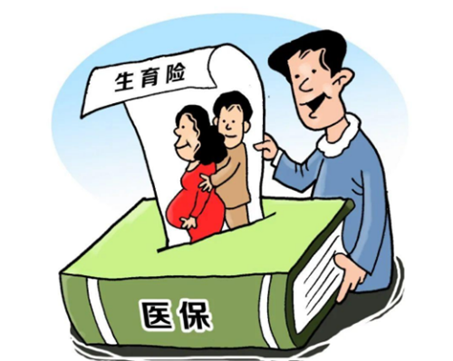 生育险备案晚了怎么办