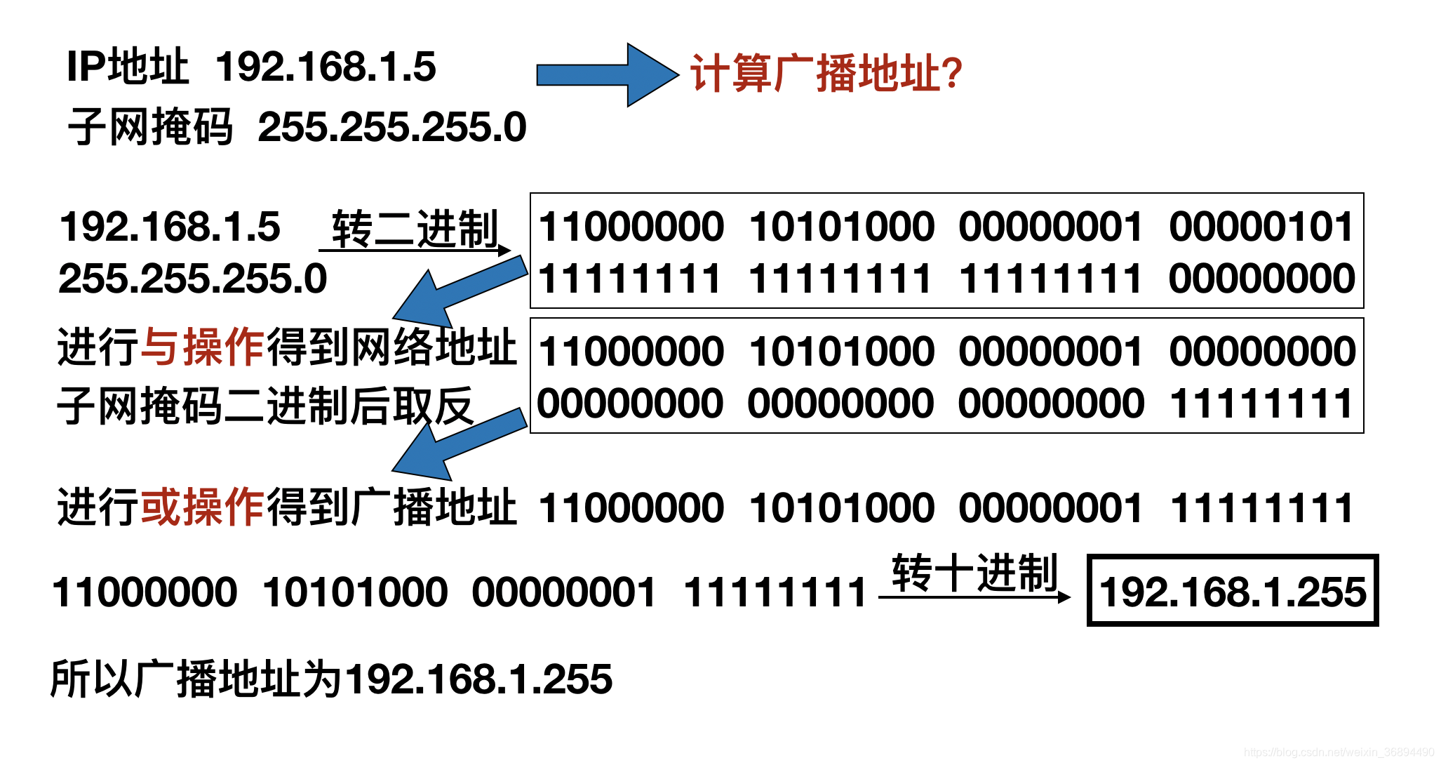 广播地址知识汇