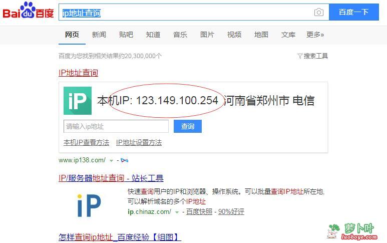 出口 ip 查询法