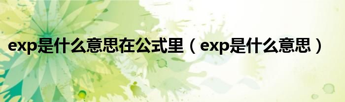 exp 计算方法集