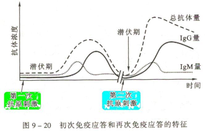 应答概念深度探