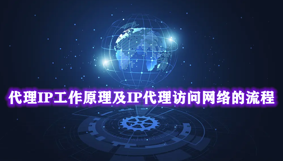 ip 代理网络访问新径